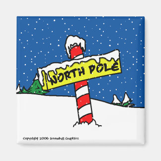 Magnet du pôle Nord
