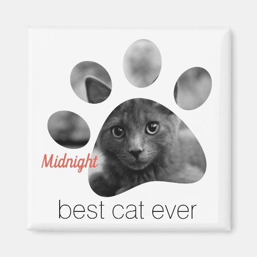 Magnet Empreinte de patte photo personnalisé (Devant)