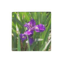 Fleur d'aimant en marbre décoratif primé