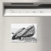 Magnet erratique Norber (In Situ (Lave-vaisselle))