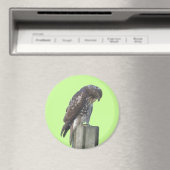 Magnet - Falcon Magneet (Insitu (Vaatwasser))