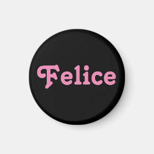 Magnet Felice Magneet