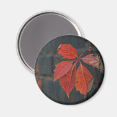 Magnet Feuille rouge (Recto/Verso)