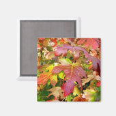 Magnet 'Feuilles d'automne' (Recto/Verso)