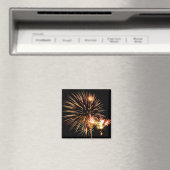 Magnet Fireworks (In Situ (Lave-vaisselle))