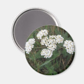 Magnet Fleur sauvage blanc (Recto/Verso)