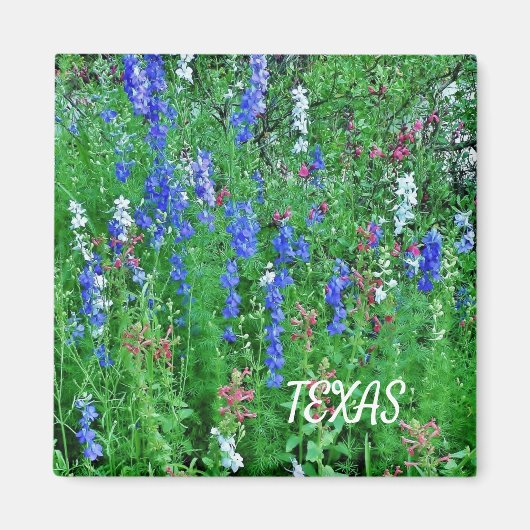 Magnet Fleur sauvage du Texas (Devant)