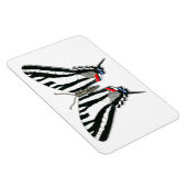 Magnet Flexi de papillon Zebra Swallowtail (Côté Droit)