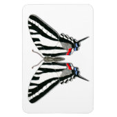 Magnet Flexi de papillon Zebra Swallowtail (Vertical)