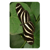 Magnet Flexi de papillon zébrée (Vertical)