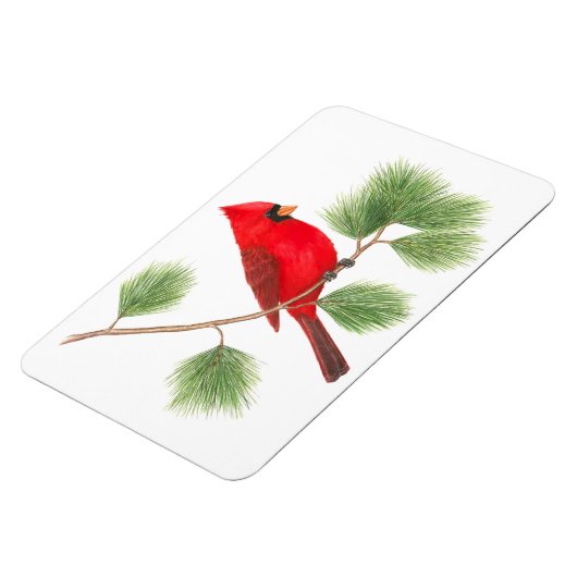 Magnet Flexi du Cardinal du Nord (Côté Gauche)