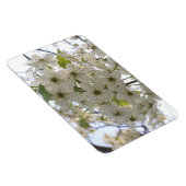 Magnet - Flexi - Fleur Bradford Pear (Côté Droit)