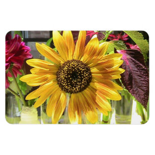 Magnet Flexi Premium de tournesol