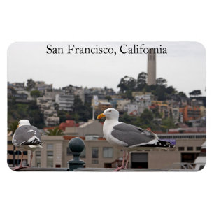 Magnet Flexi Premium Seagull de San Francisco