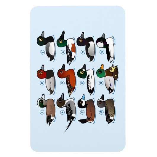 Magnet Flexible 12 Canards (Vertical)