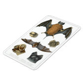 Magnet Flexible 19e impression de chaume C. (Côté Gauche)