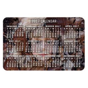 Magnet Flexible 2017 Year Monthly Calendar White   Add Photo