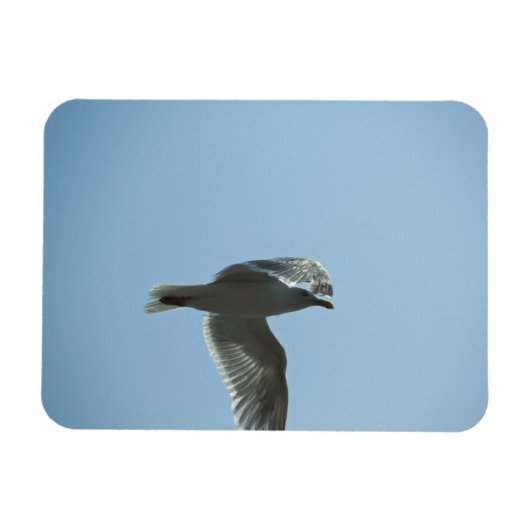 MAGNET FLEXIBLE 2367 (Horizontal)
