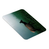 MAGNET FLEXIBLE 24121885 (Côté Droit)