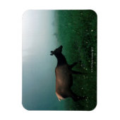 MAGNET FLEXIBLE 24121885 (Vertical)