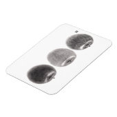 MAGNET FLEXIBLE 3個のりんご　横 (Côté Gauche)