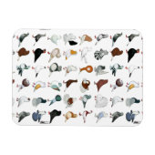 Magnet Flexible 36 races de pigeons (Horizontal)