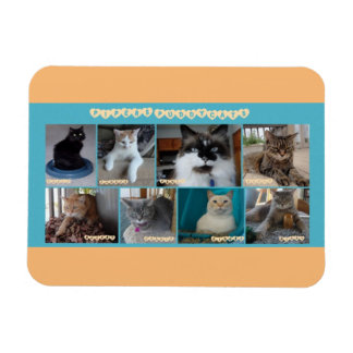 Magnet Flexible 3 x 4 aimant flexible