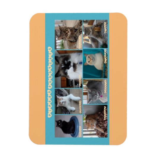 Magnet Flexible 3 x 4 aimant flexible (Vertical)