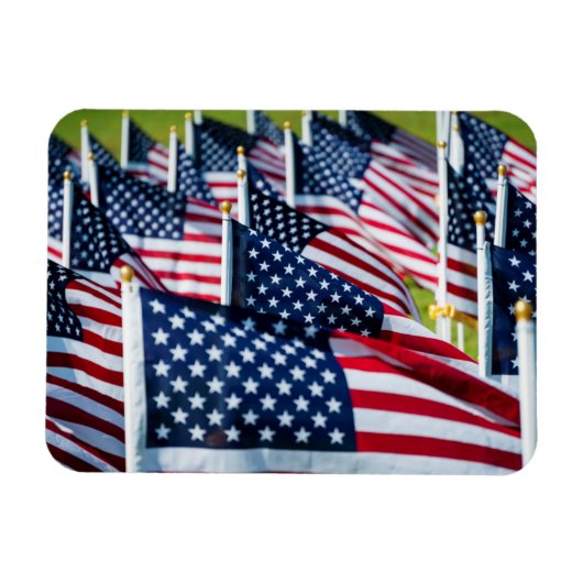 Magnet Flexible 400 drapeaux flottant fièrement dans un champ (Horizontal)