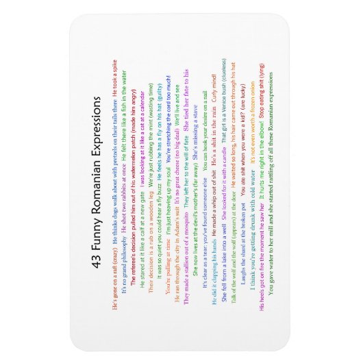 Magnet Flexible 43 Drôle Pièce de conversation pour les expression (Vertical)