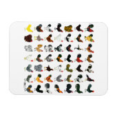 Magnet Flexible 49 Coq (Horizontal)