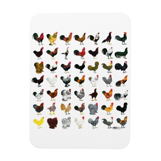 Magnet Flexible 49 Coq (Vertical)