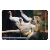 Magnet Flexible 4 x 6 Aimant frigo avec Singe et Slogan (Horizontal)