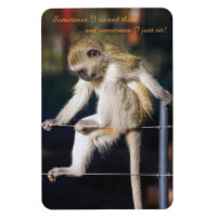 4 x 6 Aimant frigo avec Singe et Slogan