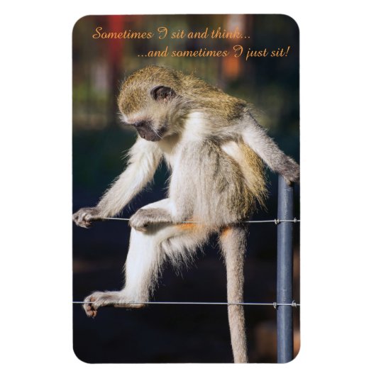 Magnet Flexible 4 x 6 Aimant frigo avec Singe et Slogan (Vertical)