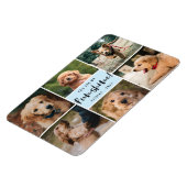 Magnet Flexible 6 Photo Collage Vous Êtes Ma Funshine | Animal ble (Côté Gauche)