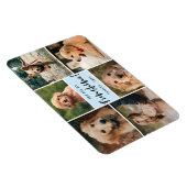 Magnet Flexible 6 Photo Collage Vous Êtes Ma Funshine | Animal ble (Côté Droit)