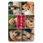 Magnet Flexible 6 Photo Collage Vous Êtes Ma Funshine | Animal rou (Vertical)