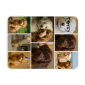 Magnet Flexible 8 Photo Collage Personalized Custom (Horizontal)