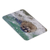 Magnet Flexible A baby seal surfing (Côté Droit)