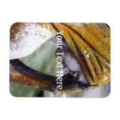 Magnet Flexible A Tiré Un Interlude Calme (Horizontal)