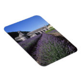 Magnet Flexible Abbaye de Senanque, Gordes, Vaucluse, Provence, (Côté Droit)