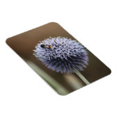 Magnet Flexible Abee sur aimant Allium (Côté Droit)