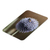 Magnet Flexible Abee sur aimant Allium (Côté Gauche)
