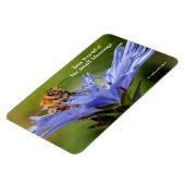 Magnet Flexible Abeille de miel sur la fleur du Radicchio (Côté Gauche)