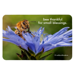 Magnet Flexible Abeille de miel sur la fleur du Radicchio