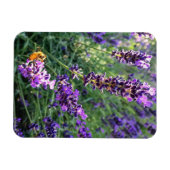 Magnet Flexible Abeille et lavande (Horizontal)