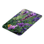 Magnet Flexible Abeille et lavande (Côté Gauche)