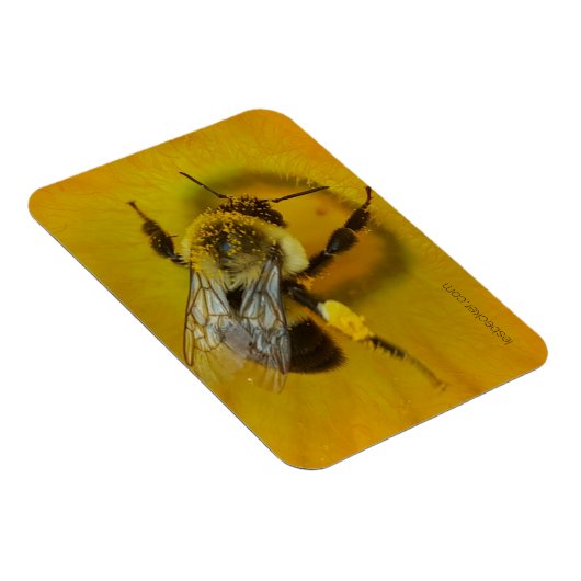 Magnet Flexible Abeille recouverte de pollen (Côté Droit)