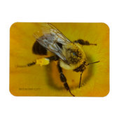Magnet Flexible Abeille recouverte de pollen (Horizontal)